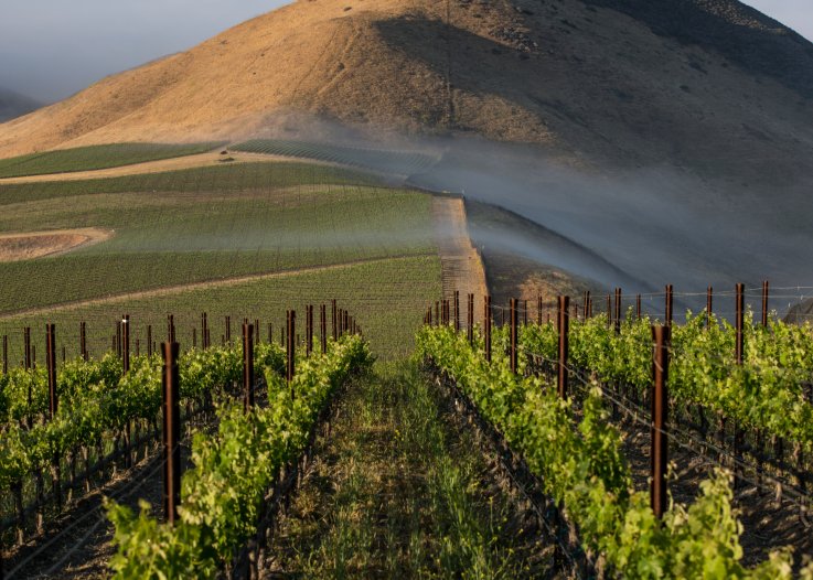 Santa Ynez California winery