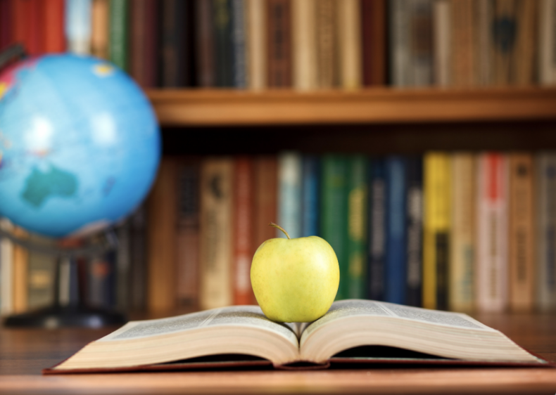 #28. History teacher education (tie)