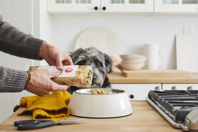 best senior dog food farmers dog
