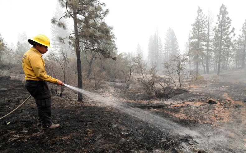 Wildfires