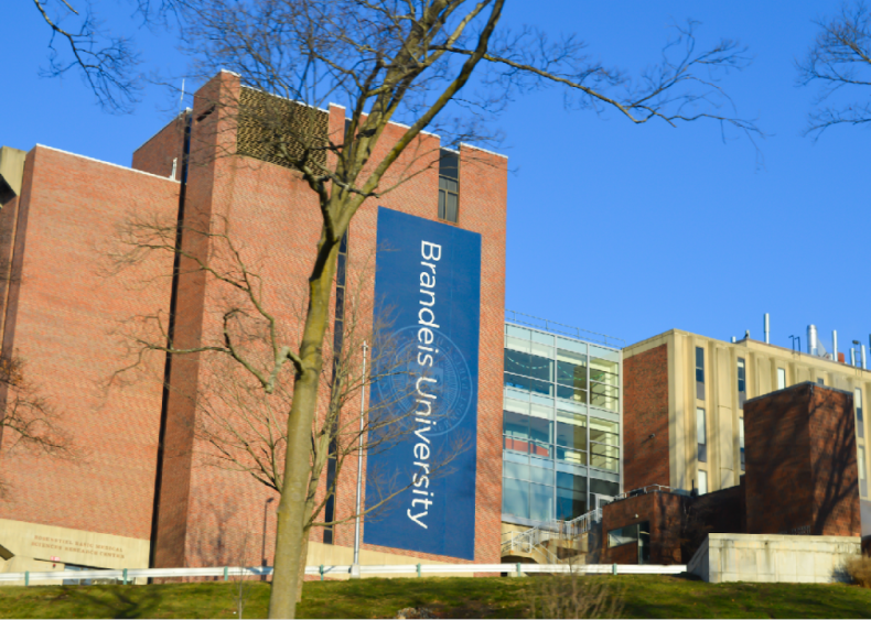 #46. Brandeis University