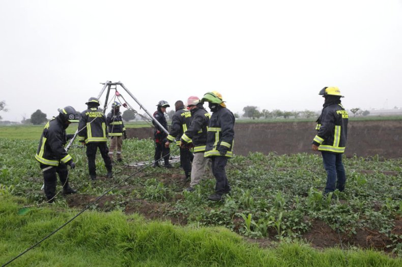 Dogs rescued from Mexico sinkhole