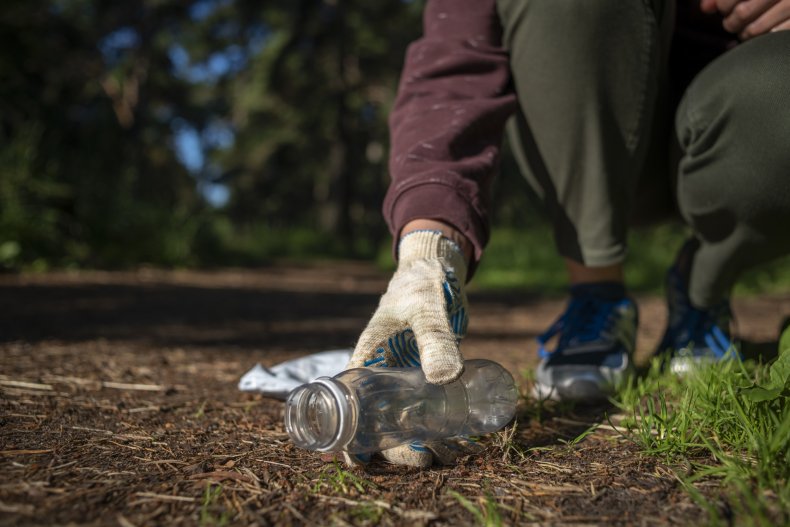 Person picking up trash in the woods