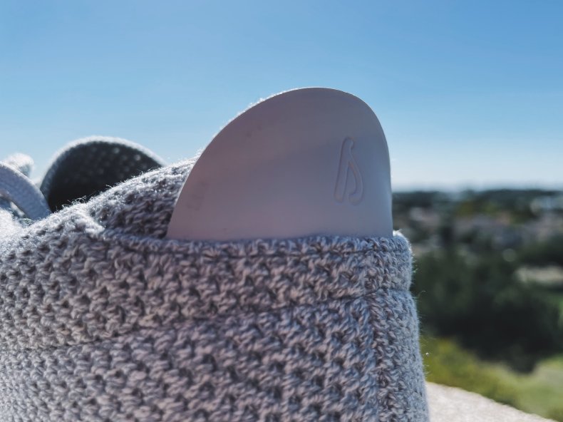 Allbirds Tree Pipers