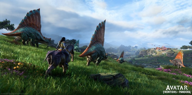 A Look at the World of Avatar