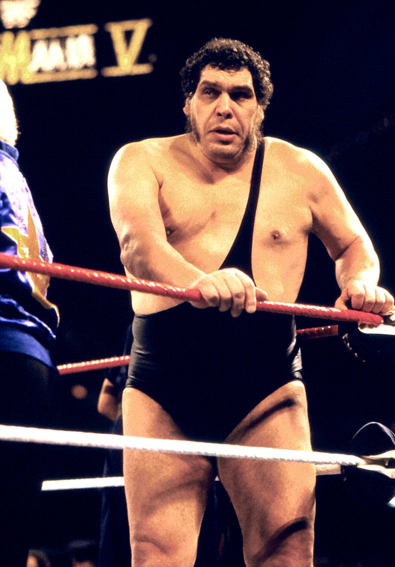 Andre the Giant in the ring