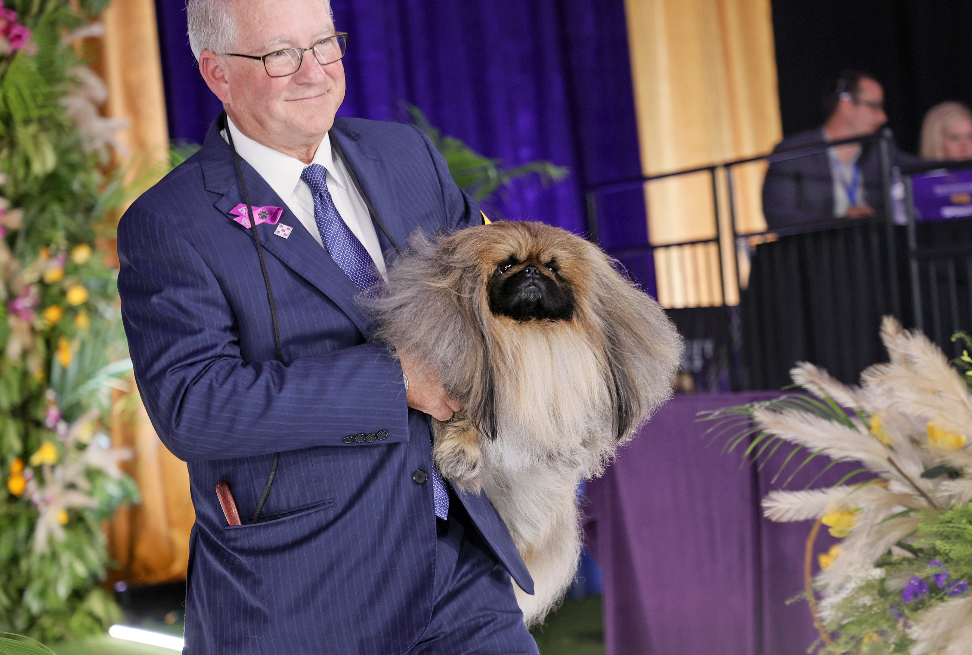 Wasabi the Pekingese Wins Westminster Kennel Club Dog Show, Delights ...