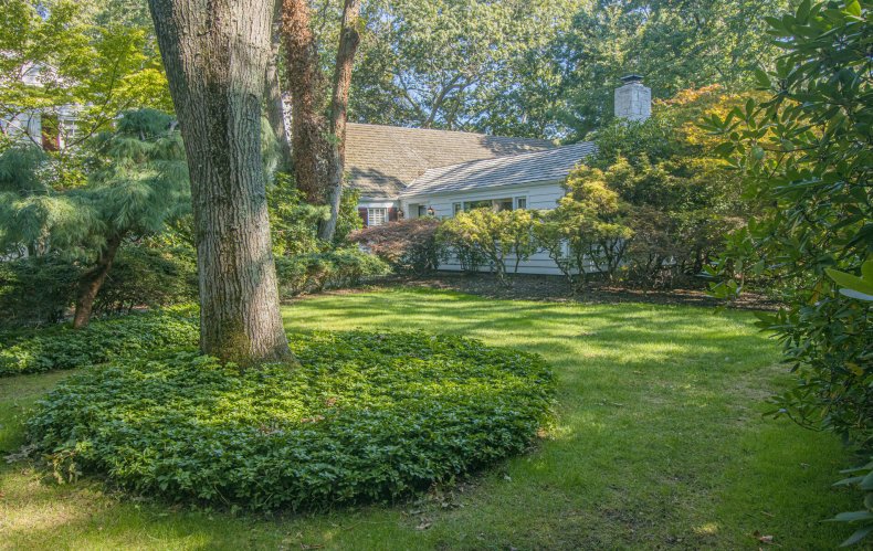 Setauket, New York, 11733