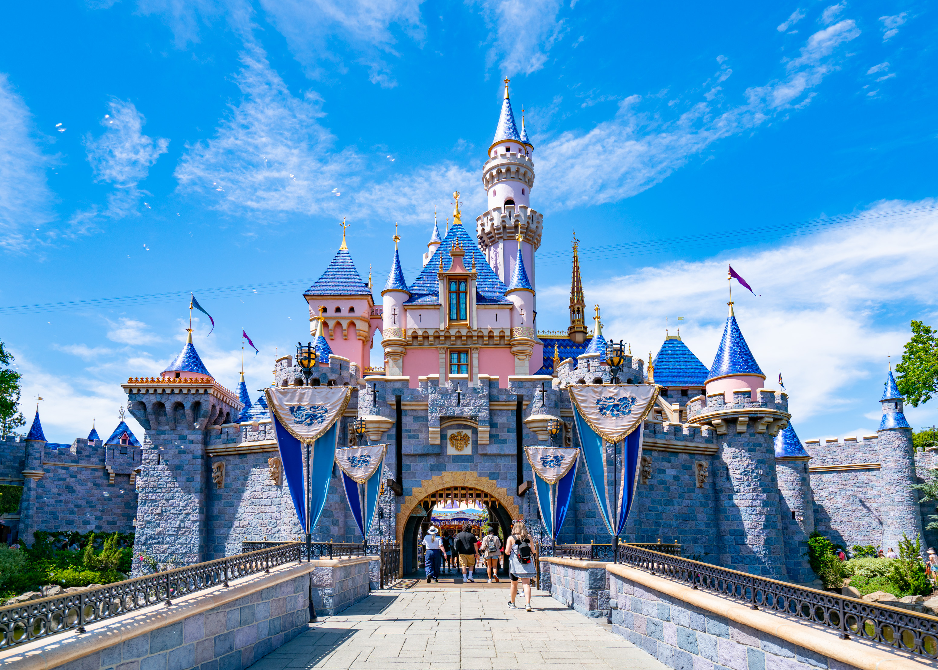 Disneyland Travel insurance coverage