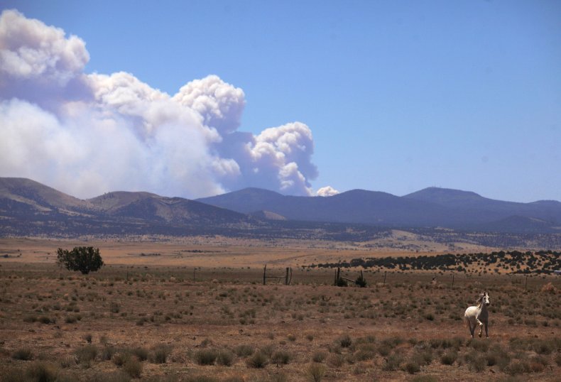 Wildfire