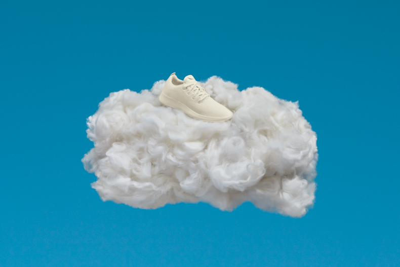 allbirds sneakers 2