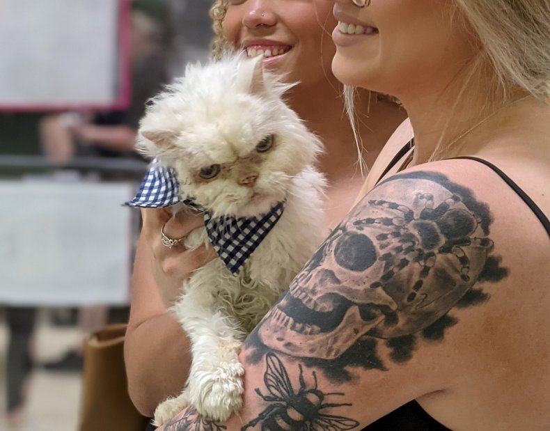 Sammy adoption