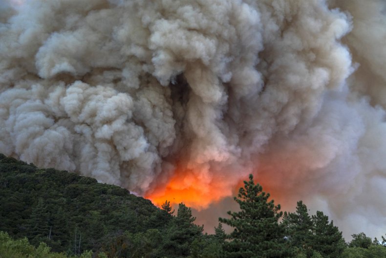 Wildfire