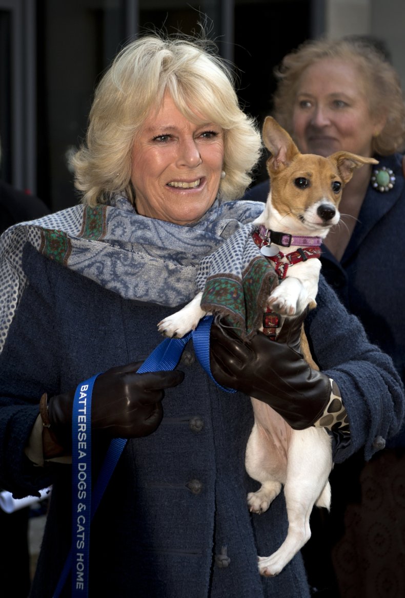 Duchess of Cornwall
