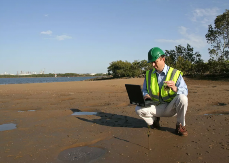 #43. Environmental engineers