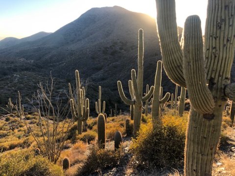 CUL Quiet Map _ Desert Mountain Trail