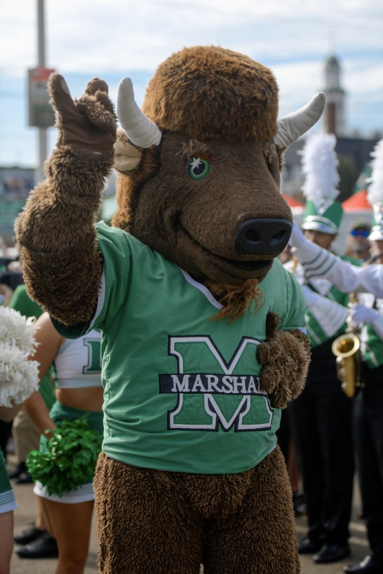 Marco the Buffalo: Marshall University