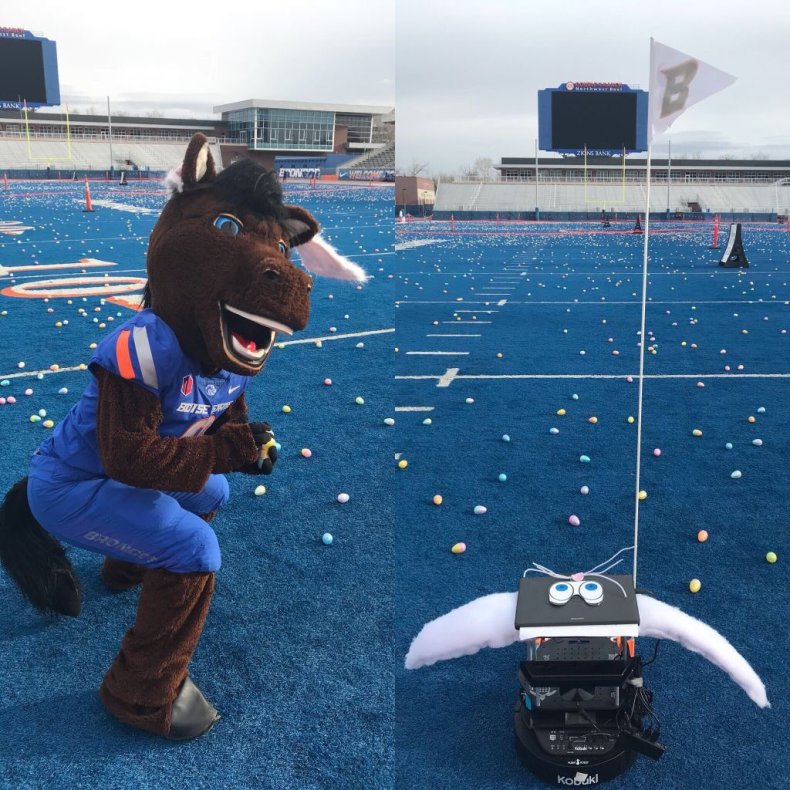 Buster Bronco: Boise State University