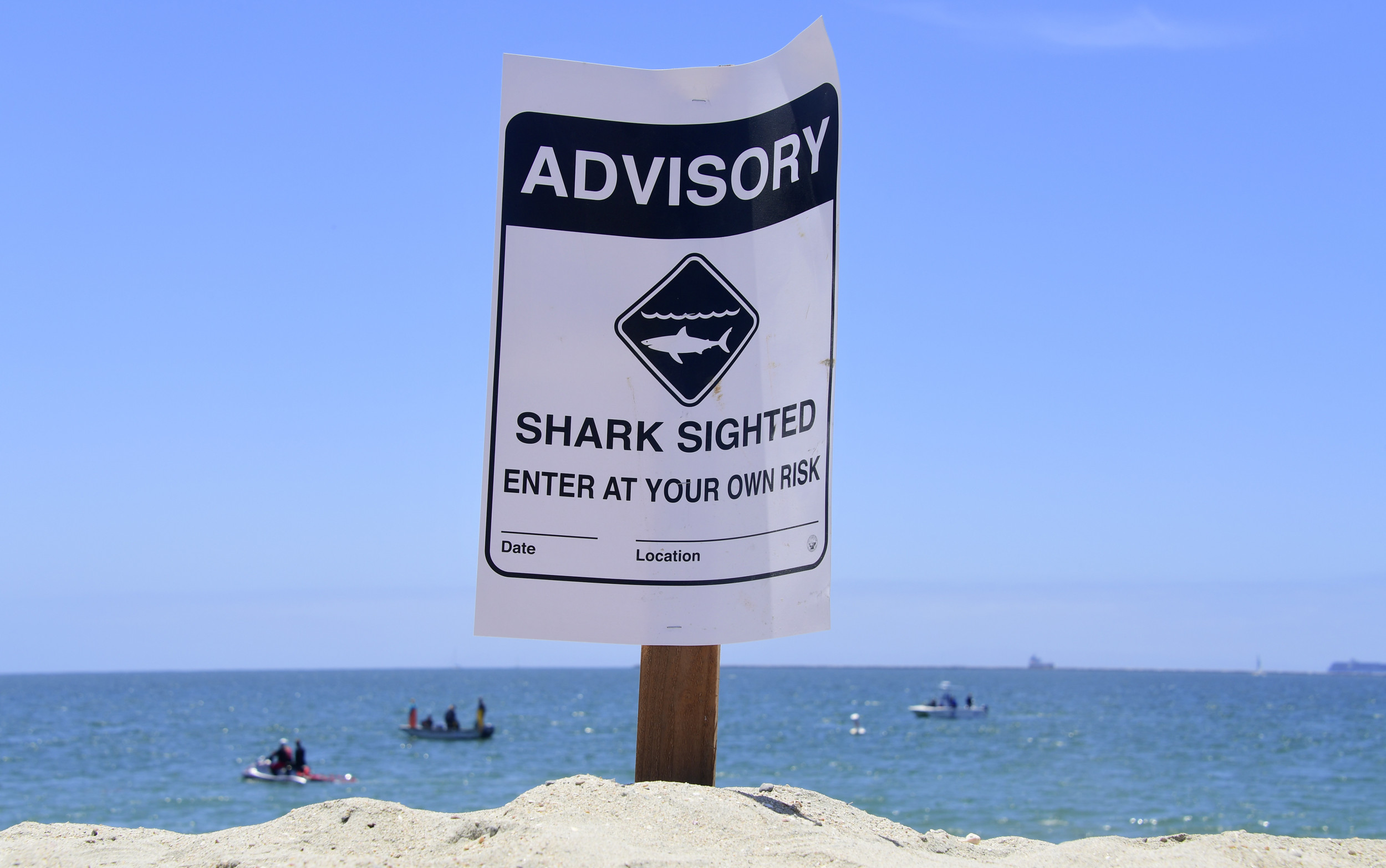 Shark sighting reported off NJ