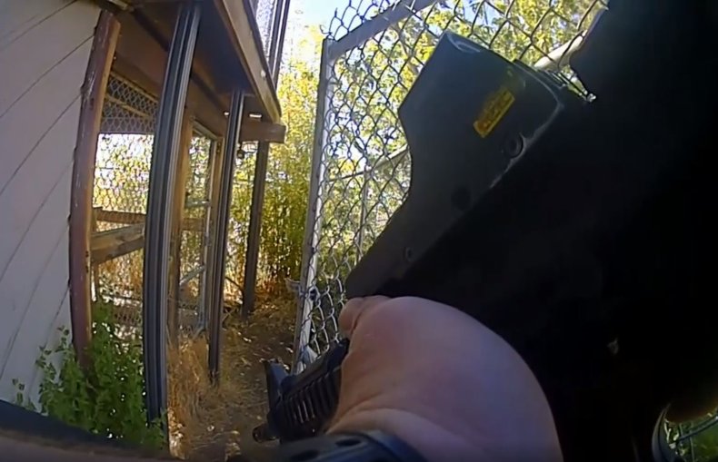 Still from video of Oregon chimpanzee shooting