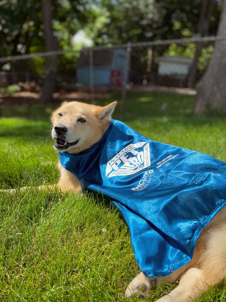 Mollybear with her radiation cape