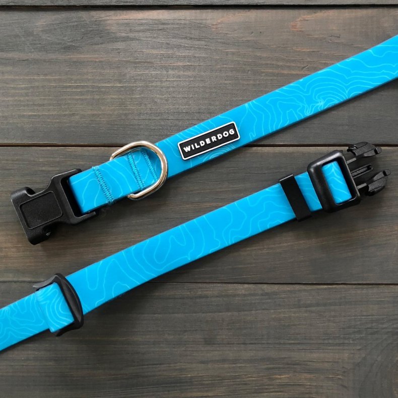 Newsweek Summer Picks - waterproof dog collar