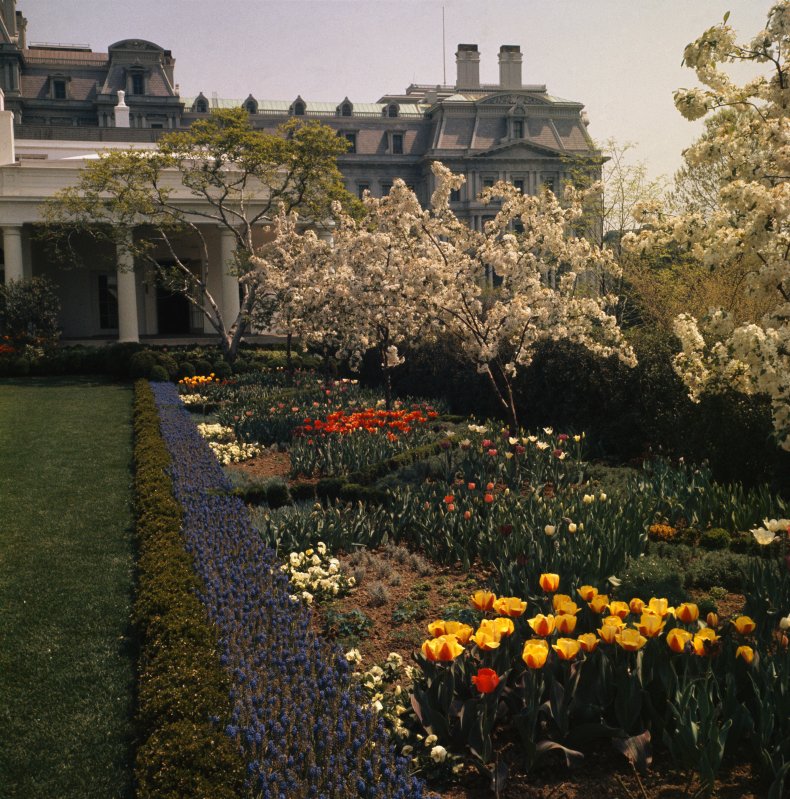 The White House Rose Garden in 1963.