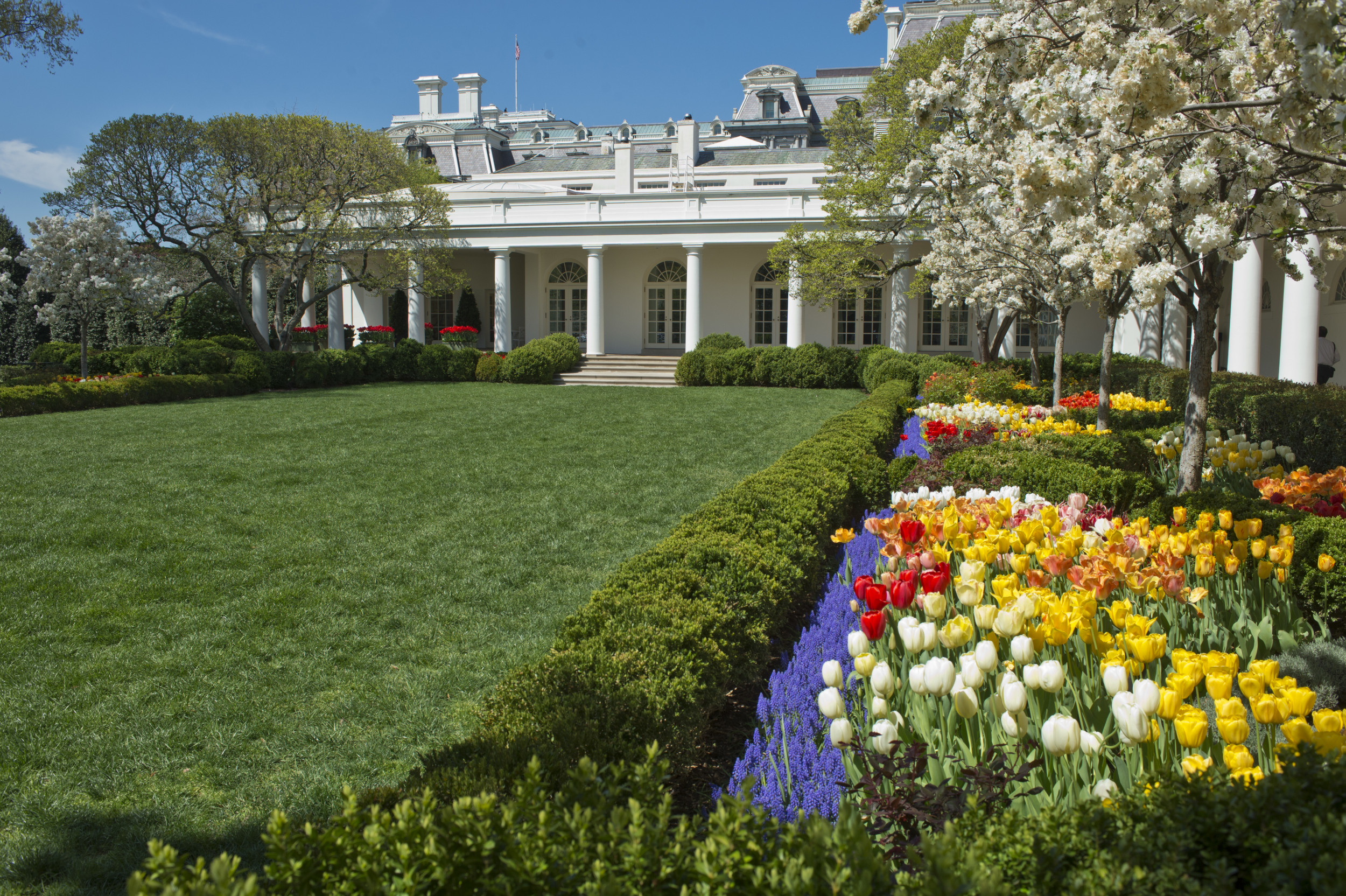 White House Rose Garden Over 60 Years—Pictures From 1961 to 2021