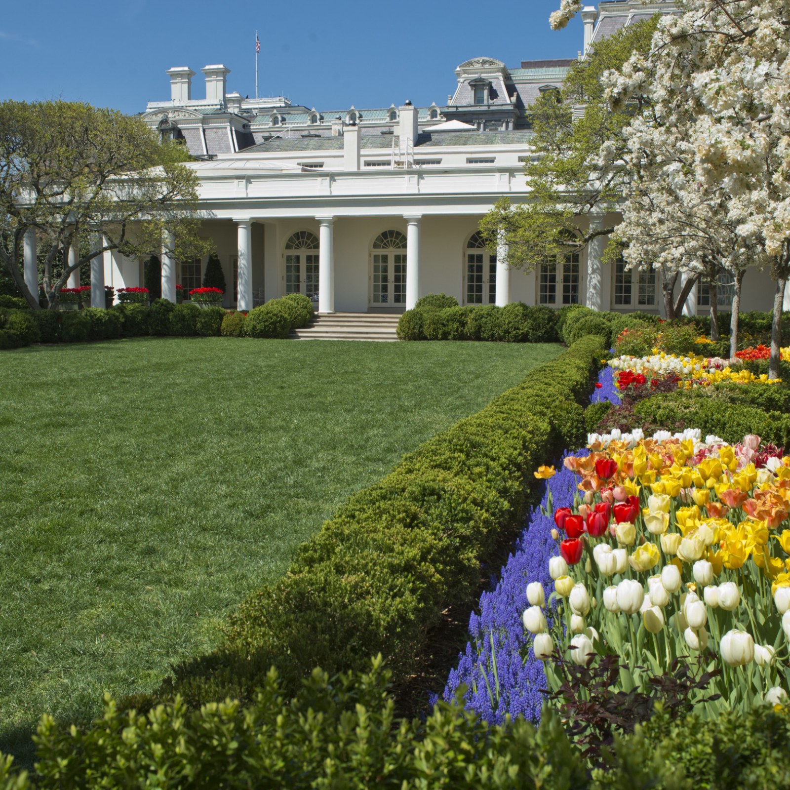 White House Rose Garden Over 60 Years—Pictures From 1961 to 2021