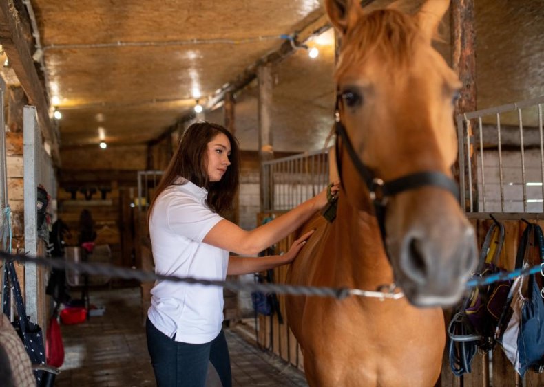 #22. Animal caretakers