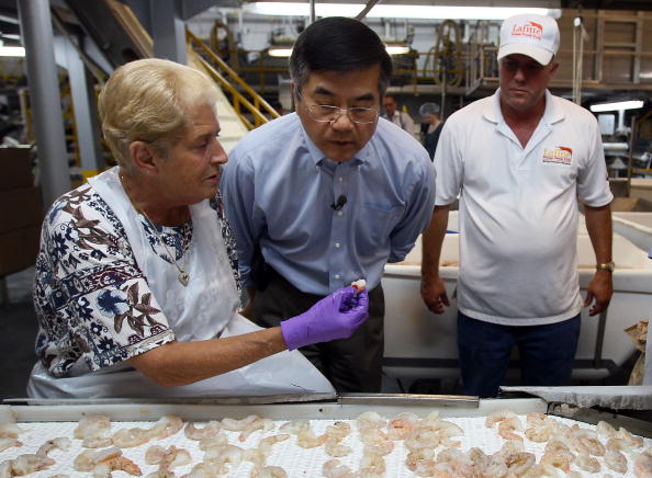 shrimp contamination