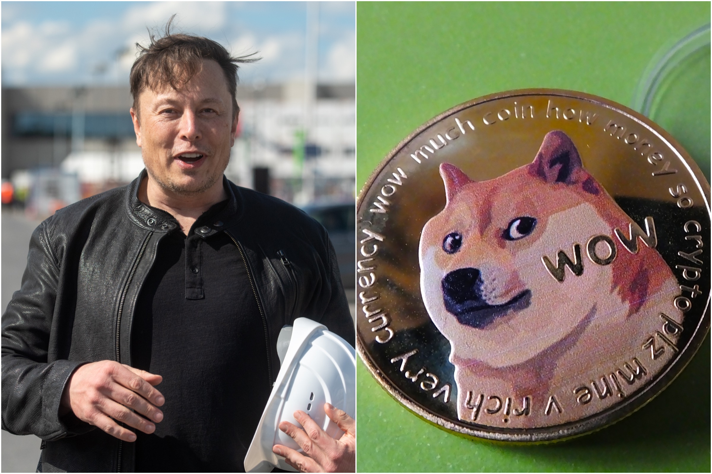 dogefather crypto coin