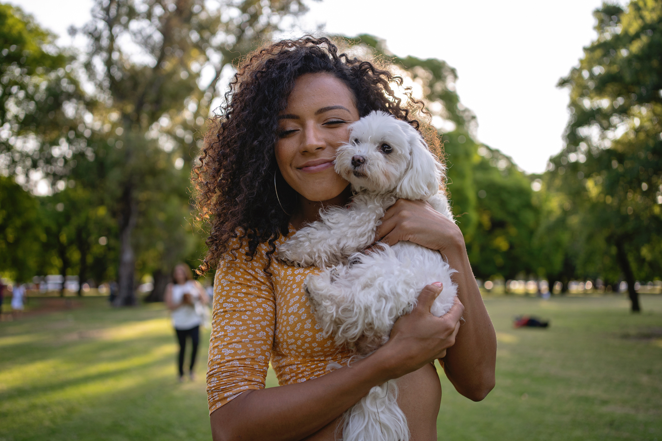 Best 2024 therapy dogs