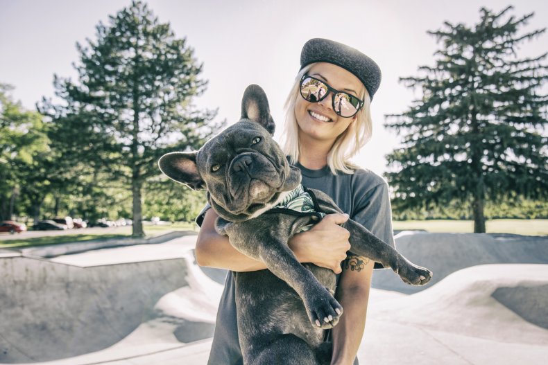 French Bulldog