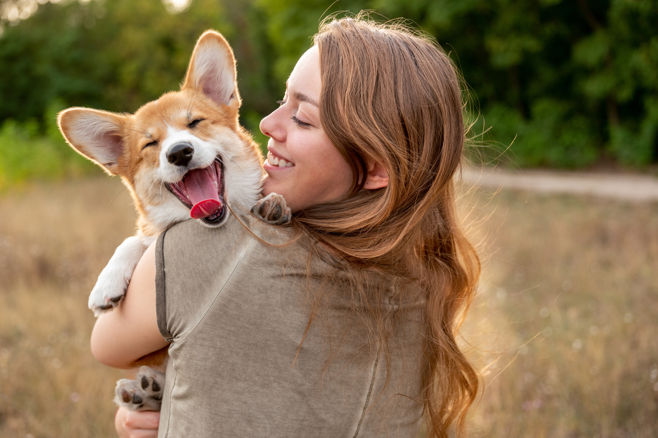 Best medium best sale sized therapy dogs