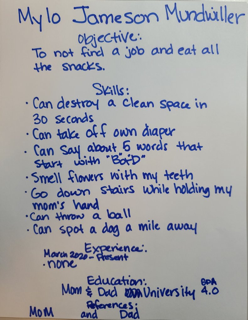 Mylo's resume from viral video