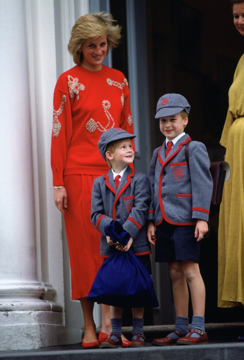 Princess Diana During William, Harry's Childhood