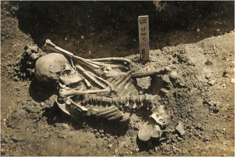 No24 Skeletal Remains