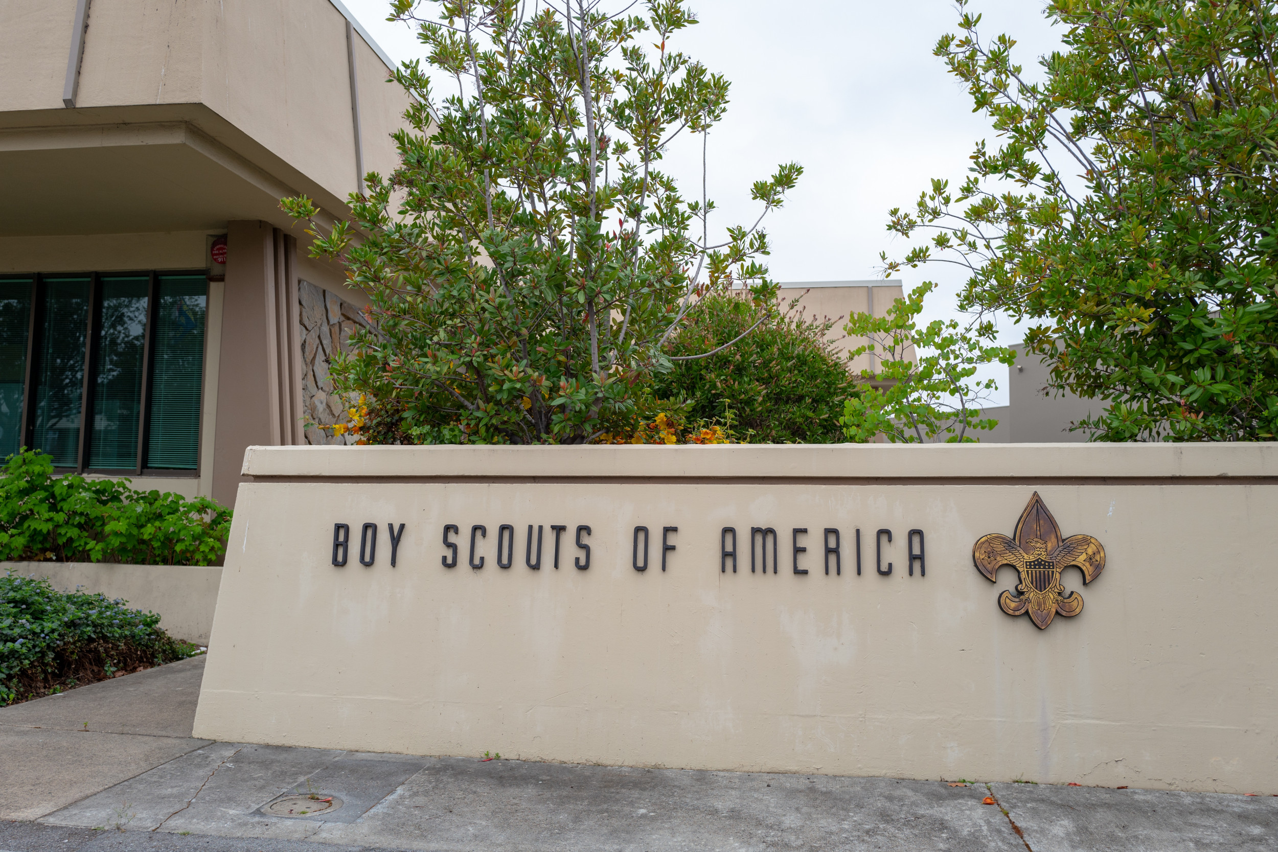 boy scouts america sex abuse settlement
