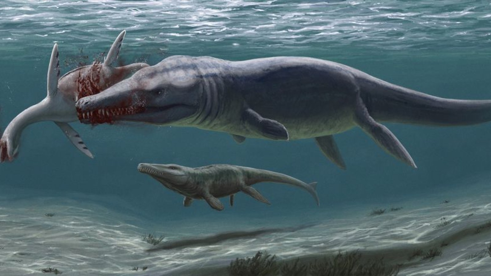 Scientists Say Mystery Fossil Teeth Came from 23-foot-long Prehistoric  Crocodile
