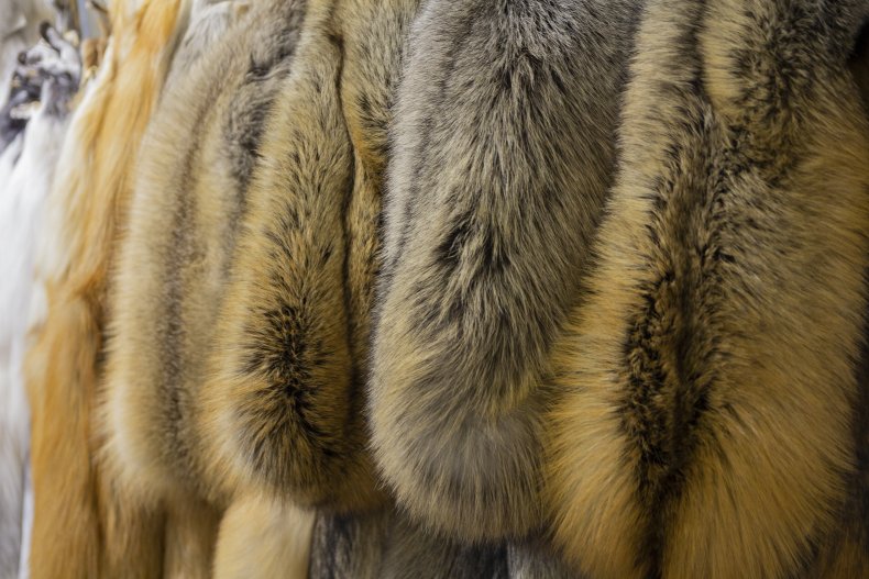 mink ban fur lacey act