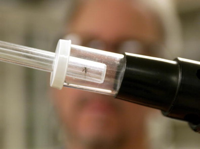 West Nile Virus Mosquito Test