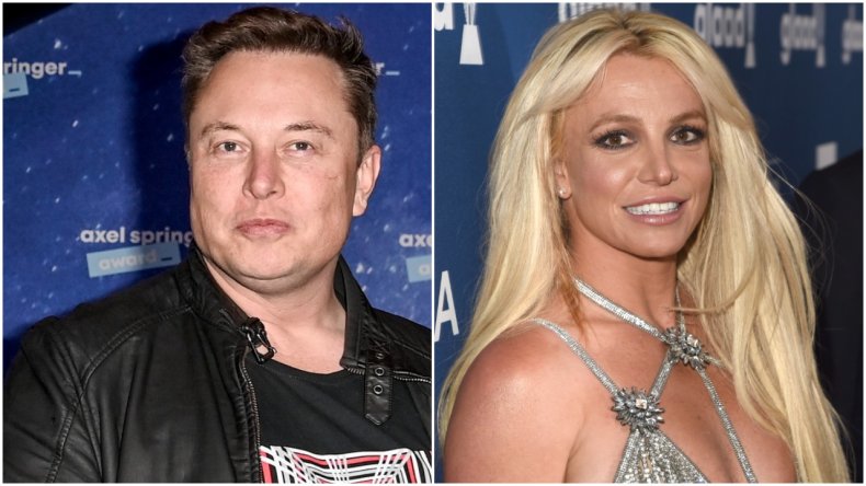 Elon Musk supports Britney Spears
