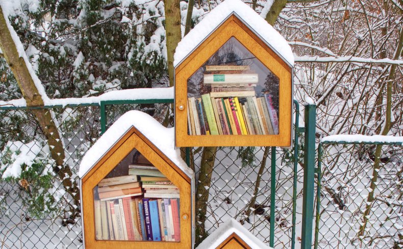 A regional free library outside