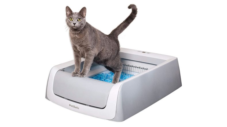 PetSafe self-cleaning litter box