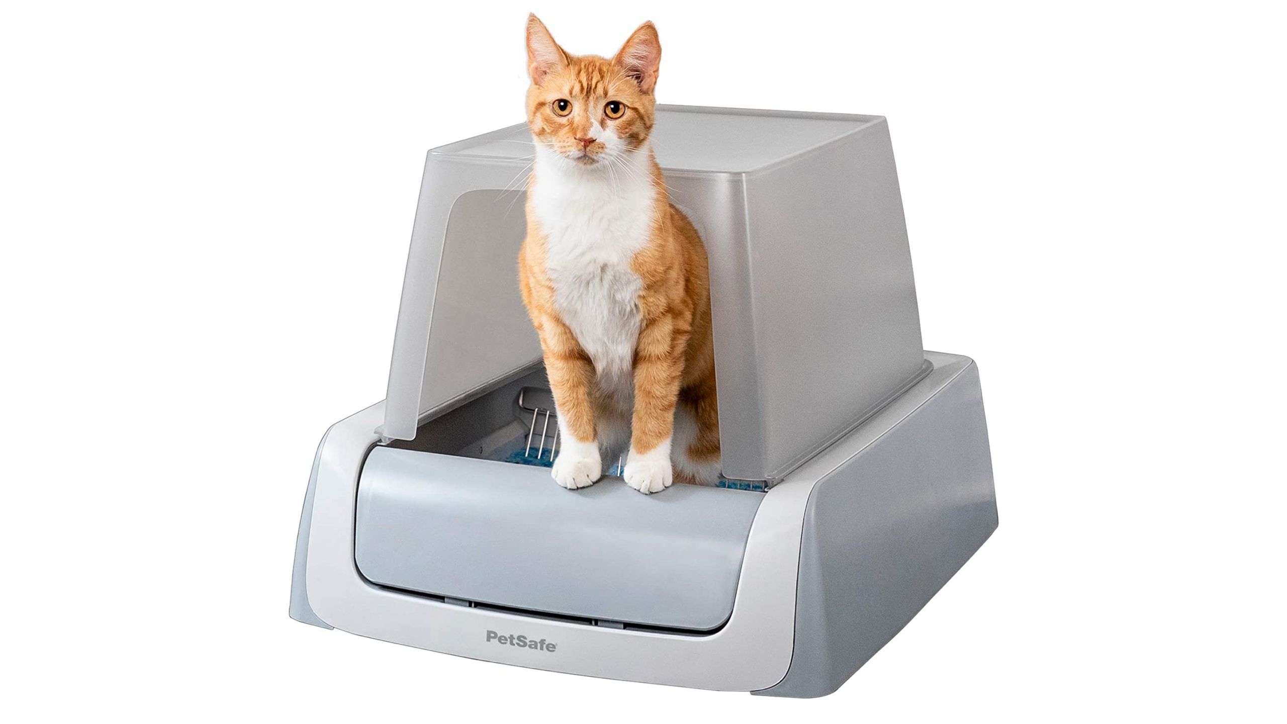 self cleaning litter box