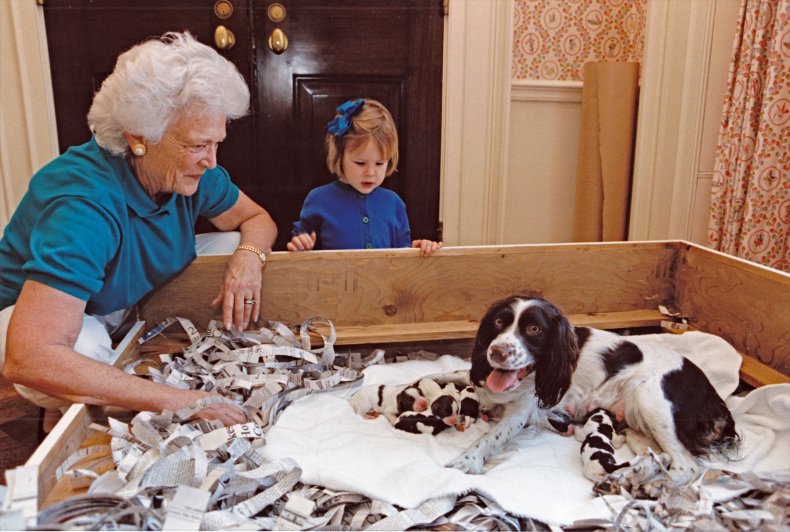 White House puppies