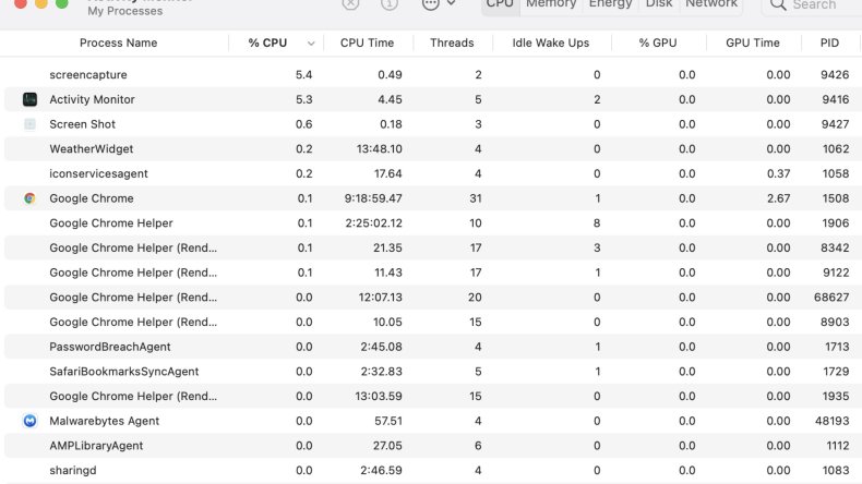 mac activity usage