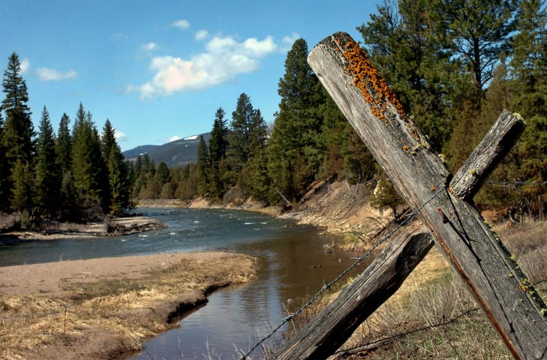 Fatal Grizzly Attack