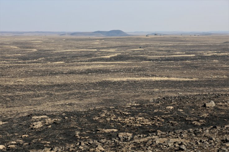Sage-grouse habitat
